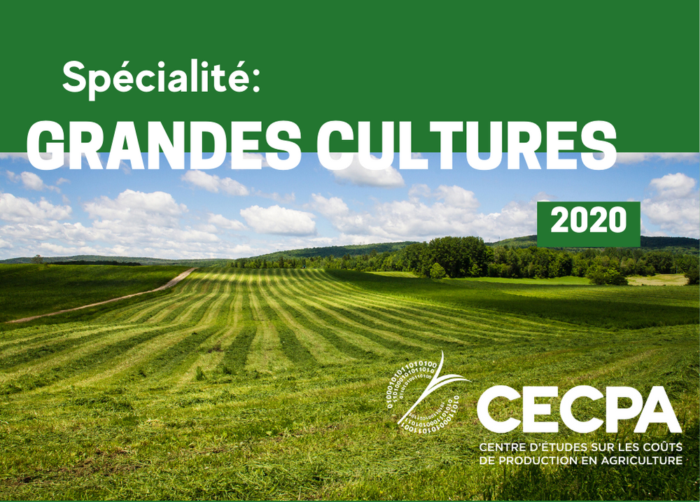 Articles : SPÉCIALITÉ : GRANDES CULTURES 2020